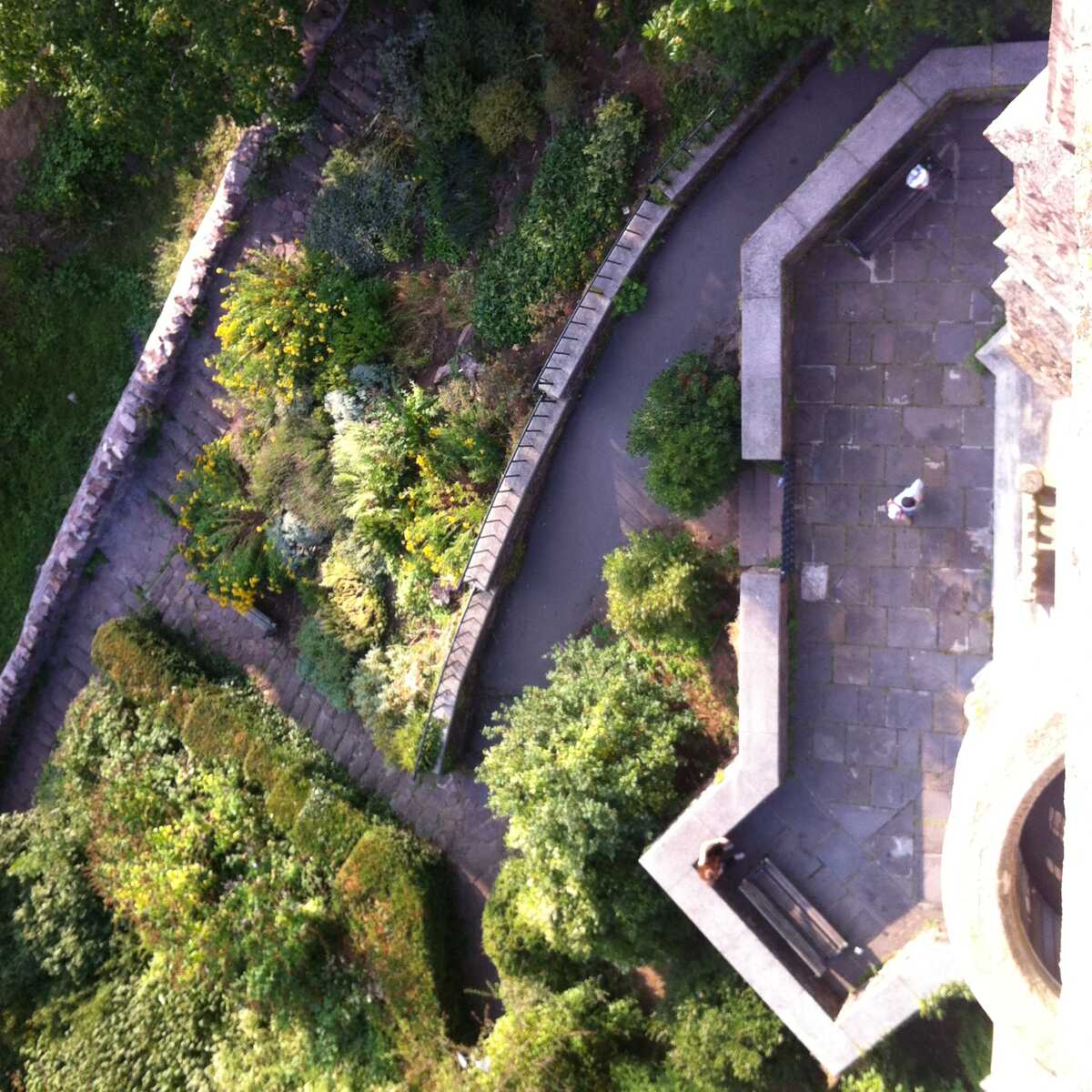 Looking down on pathways in an ornamental garden