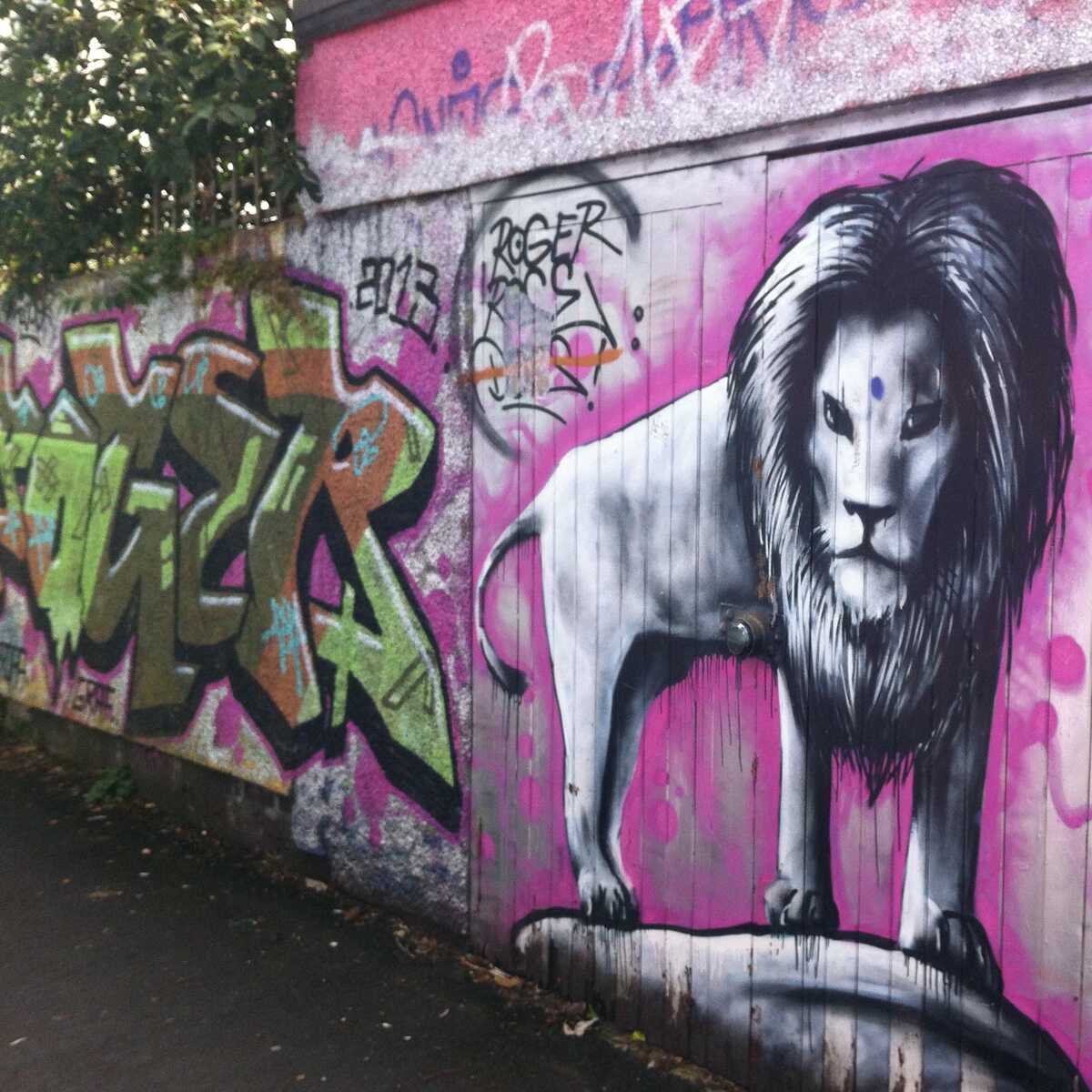 Graffiti of a magnificent lion with a pink hue